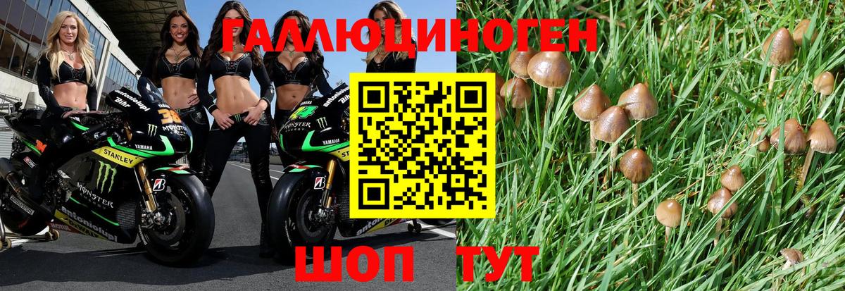где можно купить   Псилоцибиновые грибы мухоморы  Вход с VPN  Дедовск  Галлюциногенные грибы MAGIC MUSHROOMS 