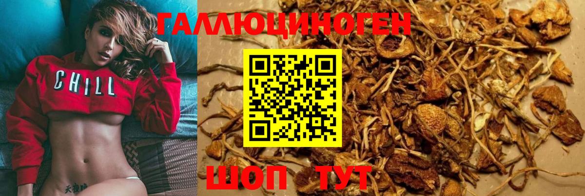 Псилоцибиновые грибы MAGIC MUSHROOMS Дедовск